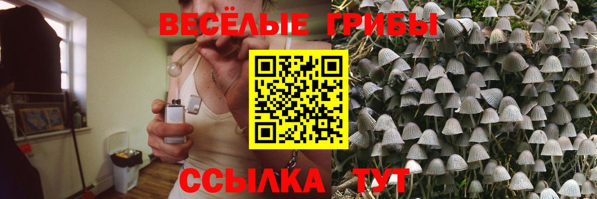 Псилоцибиновые грибы MAGIC MUSHROOMS Дзержинский