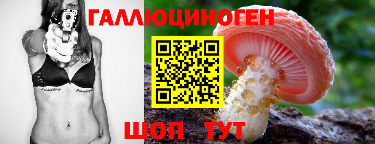 Дзержинский  Псилоцибиновые грибы Psilocybine cubensis  Вход с VPN 